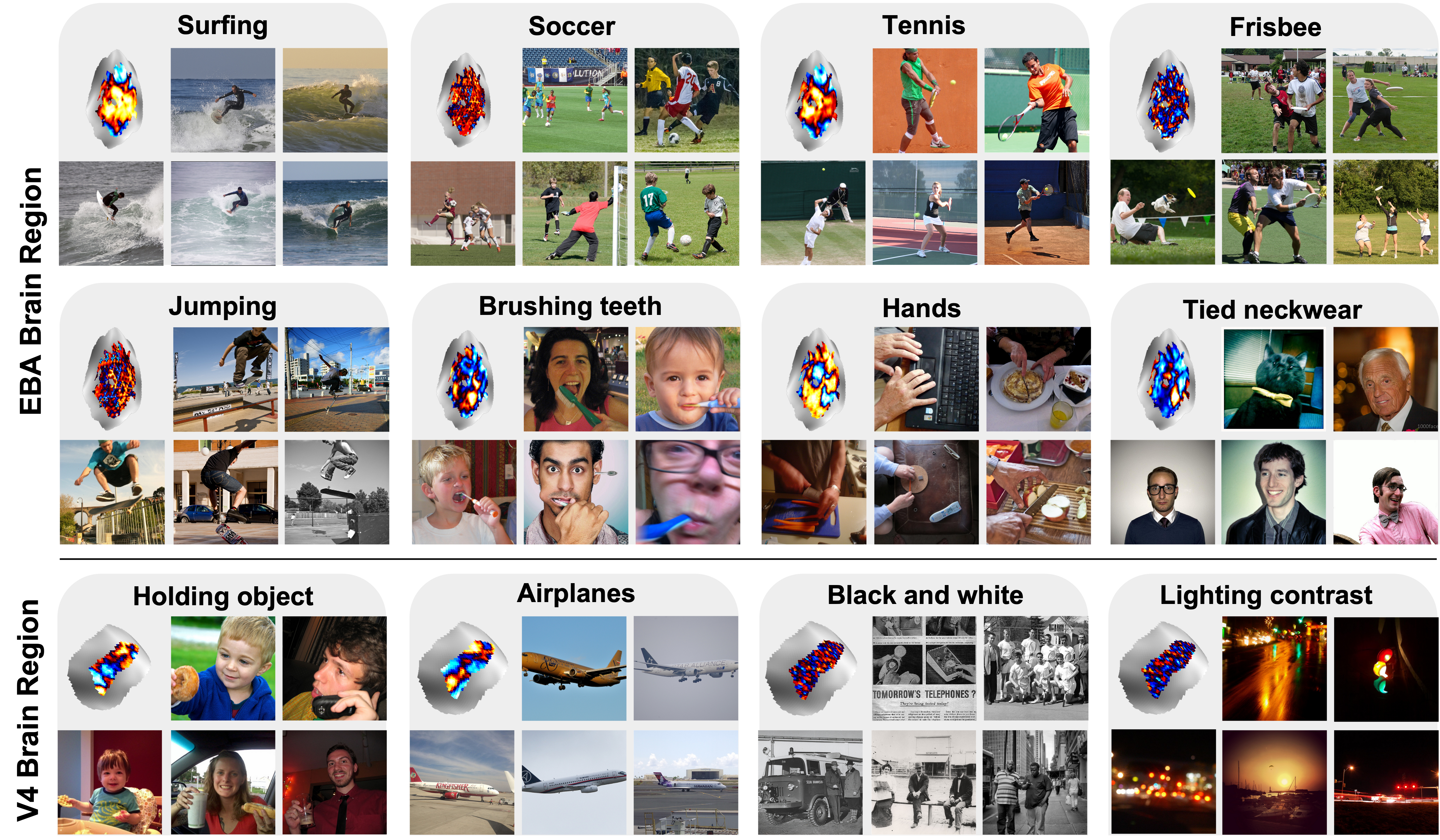 BrainExplore Framework