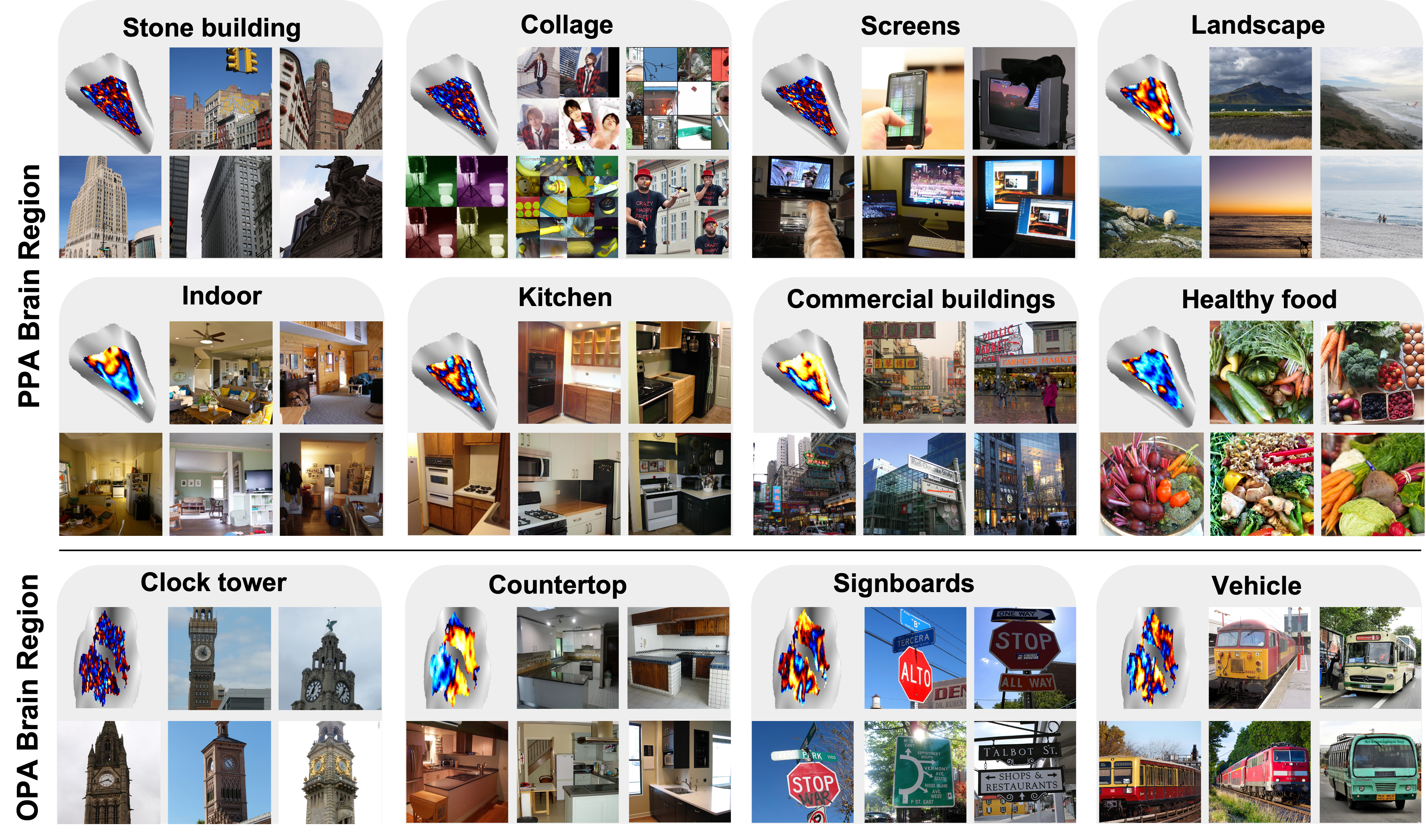 BrainExplore Framework