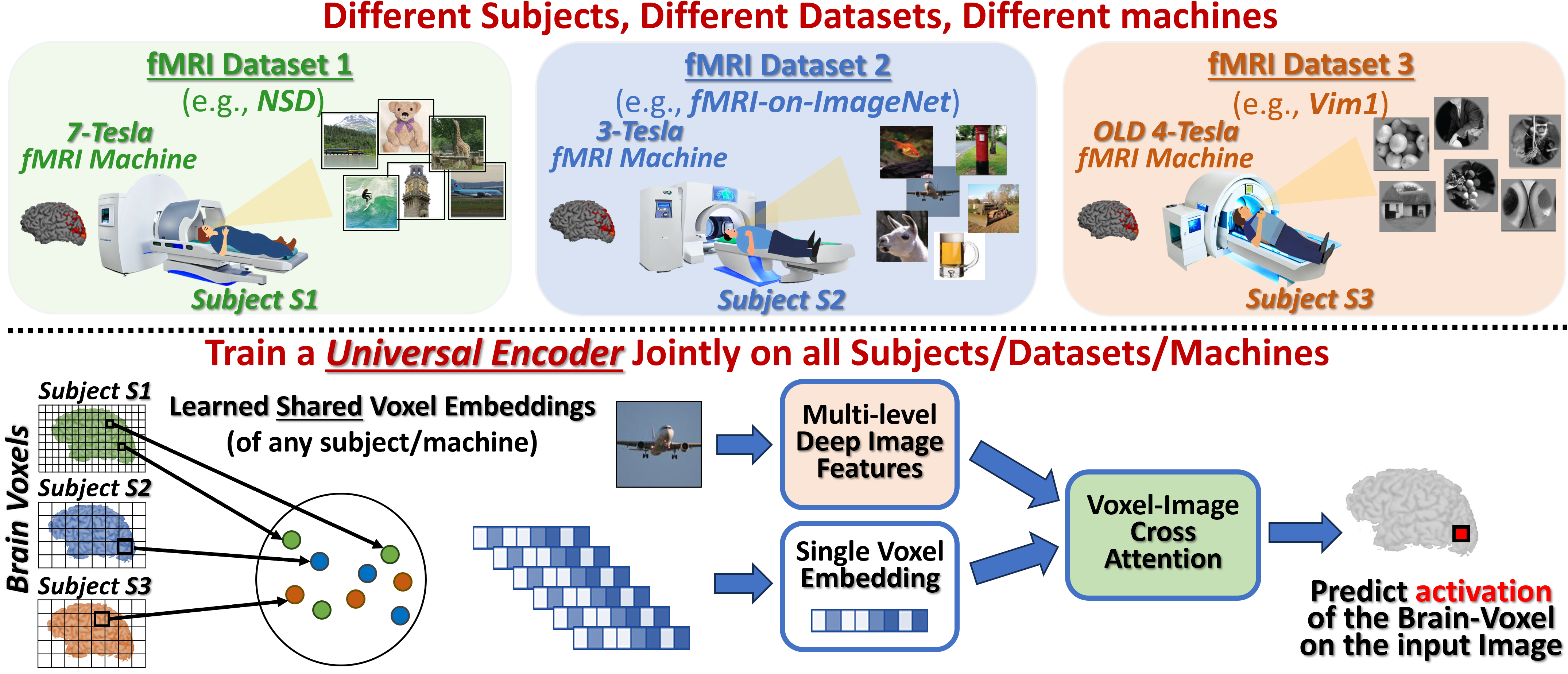 Universal Brain Encoder overview