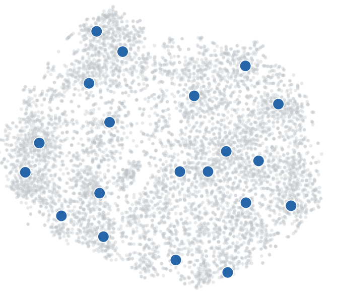 The same NSD candidate pool projected into Brain Space, with the 20 images selected by Brain Space Coverage highlighted.