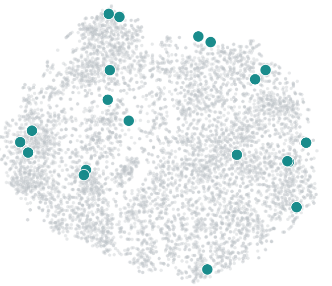 The same NSD candidate pool projected into Brain Space, with the 20 images selected by Image Space Coverage highlighted.