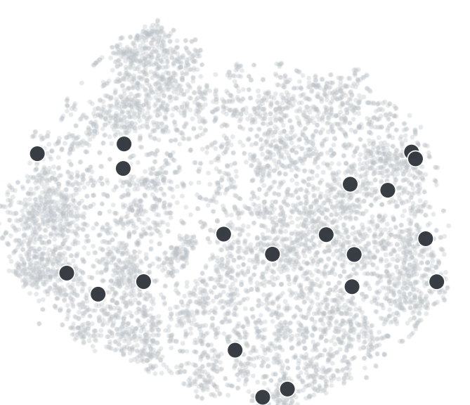 The same NSD candidate pool projected into Brain Space, with 20 randomly selected images highlighted.